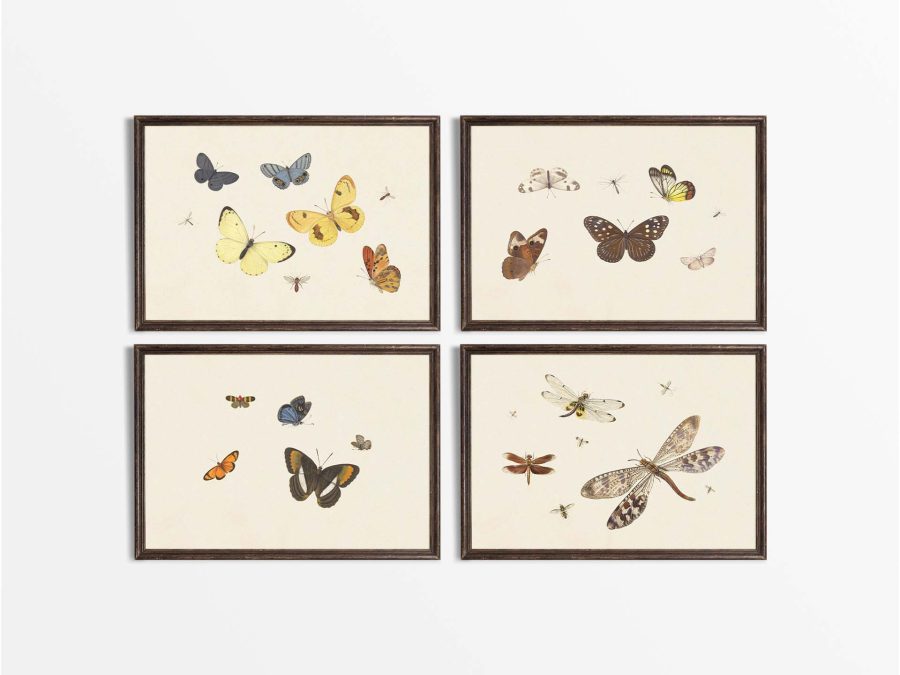 Butterflies (Set of Four) Vintage Art Prints