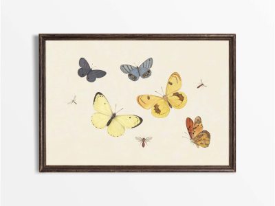 Butterflies Vintage Art Print