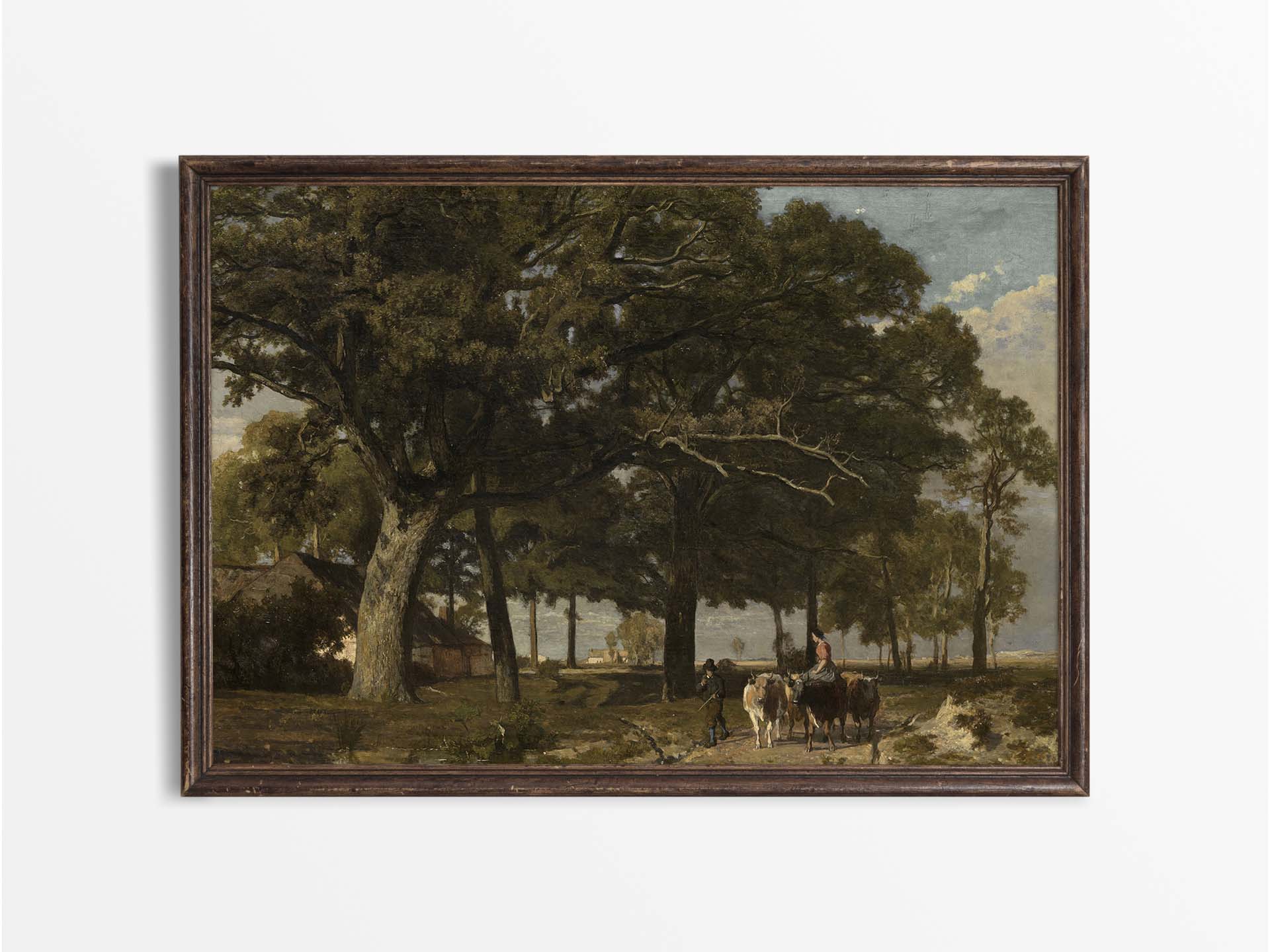 Cattle Vintage Art Print