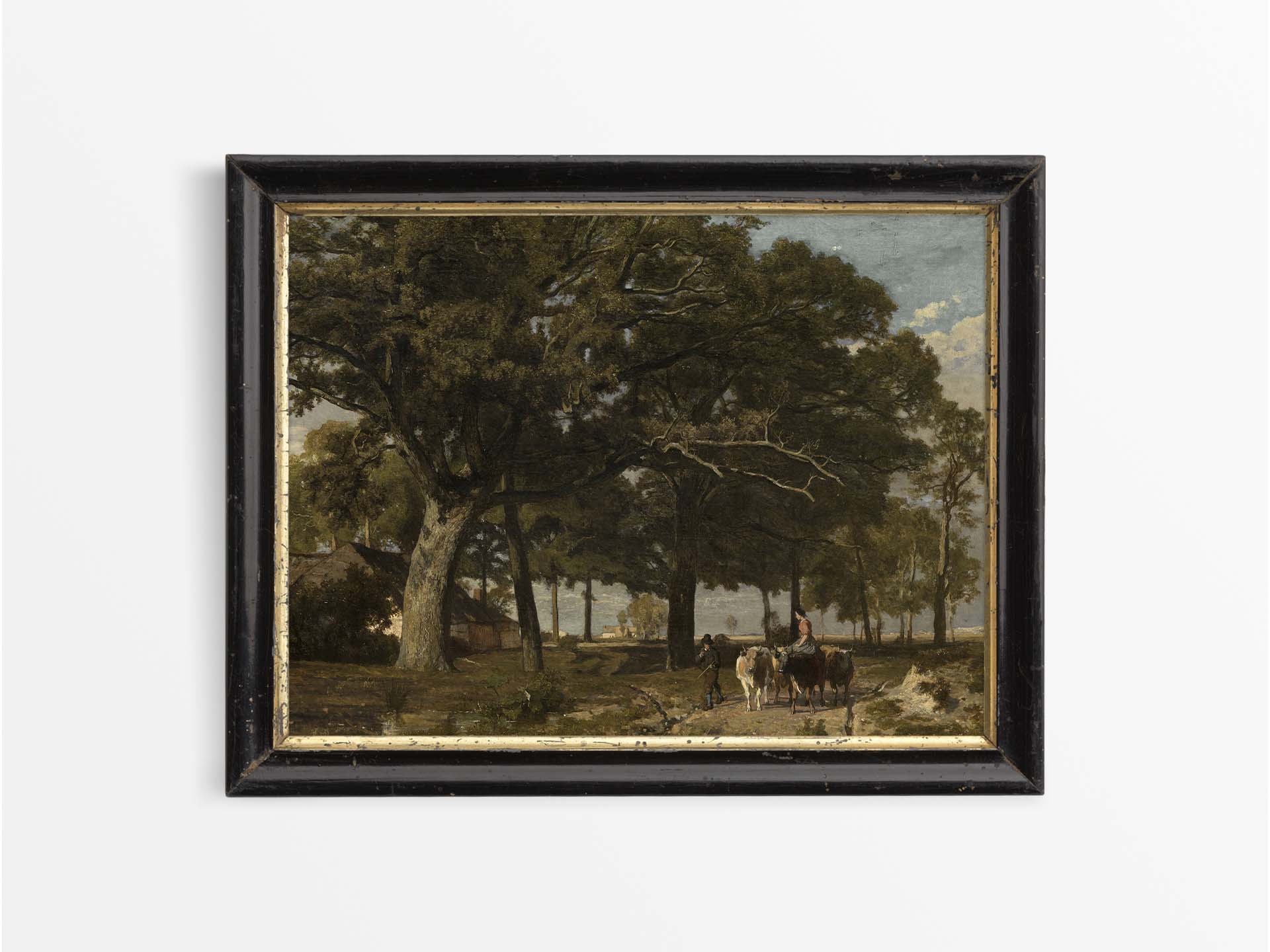 Cattle Vintage Art Print