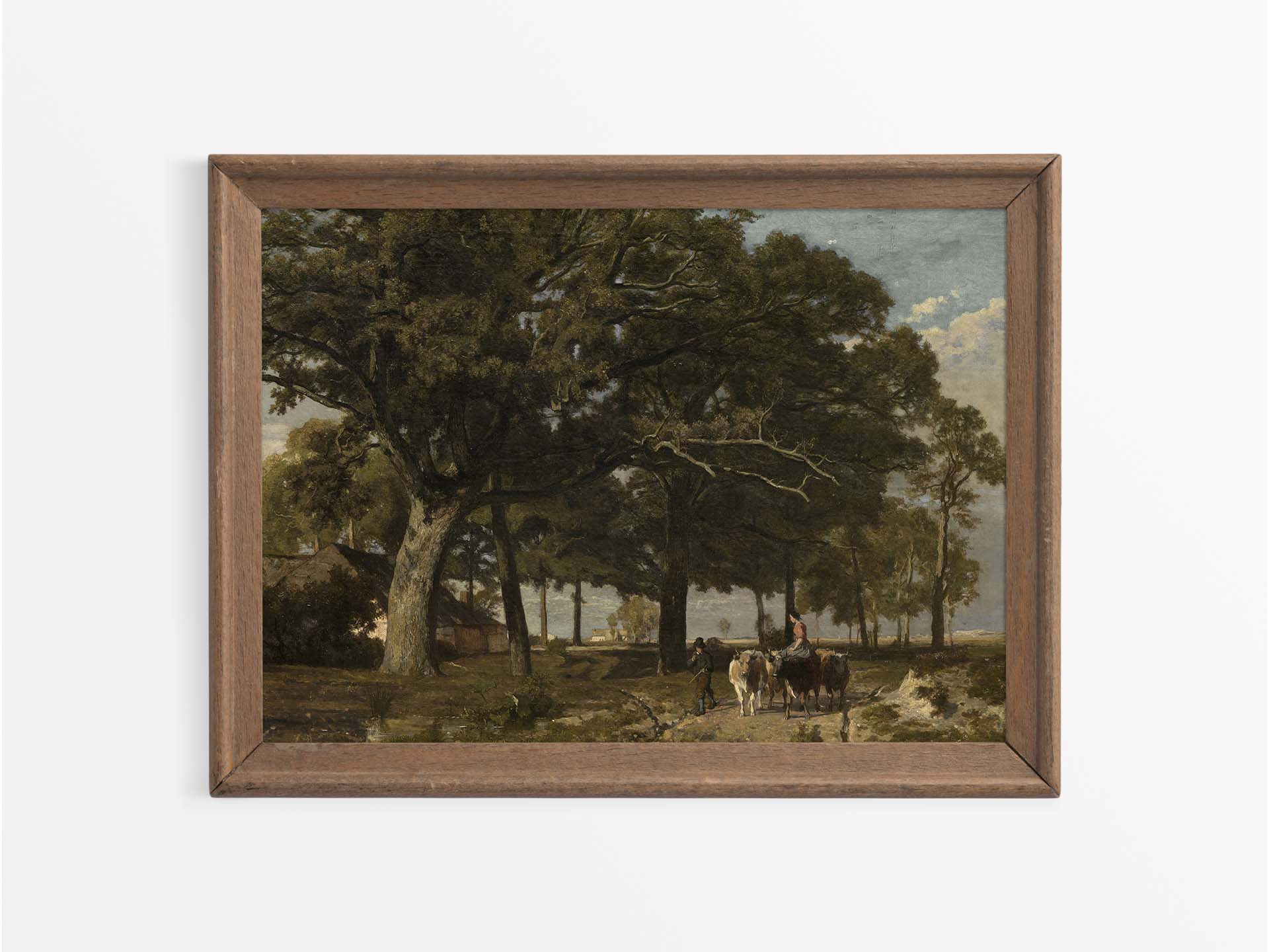 Cattle Vintage Art Print