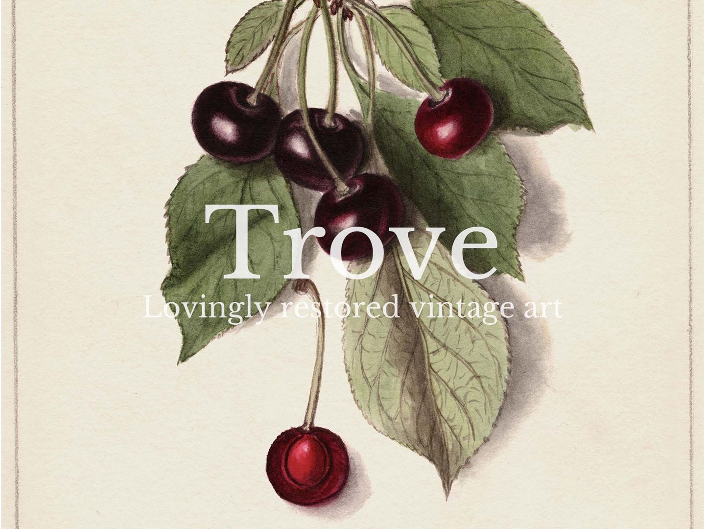 Cherries Vintage Art Print