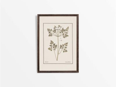 Chervil II Vintage Art Print