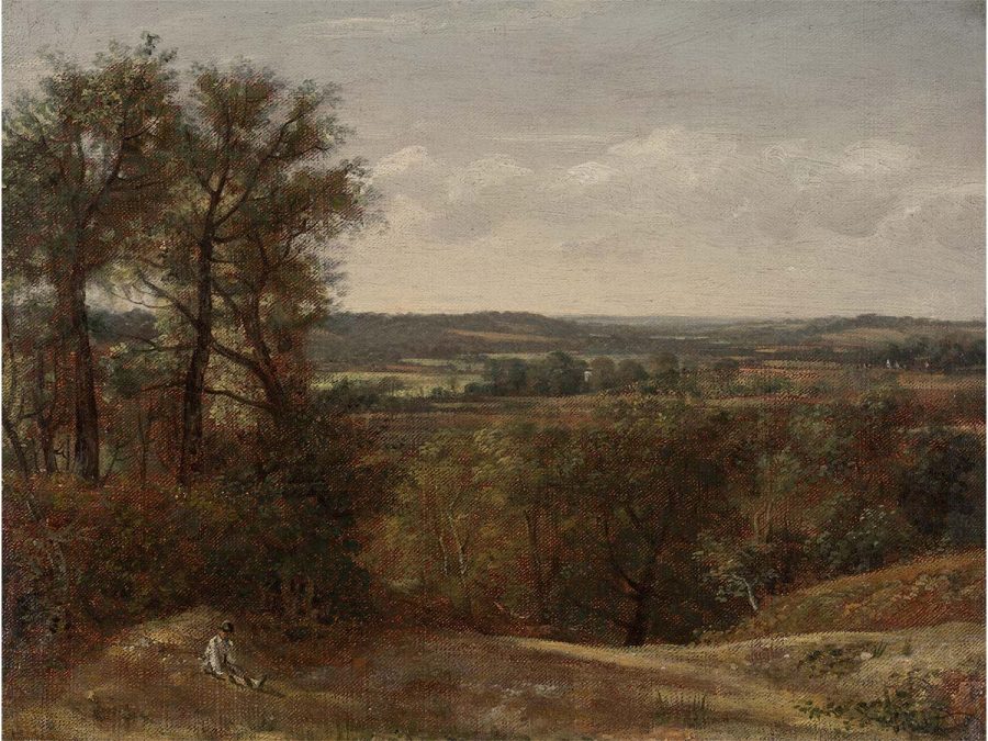 Dedham Vale Vintage Art Print