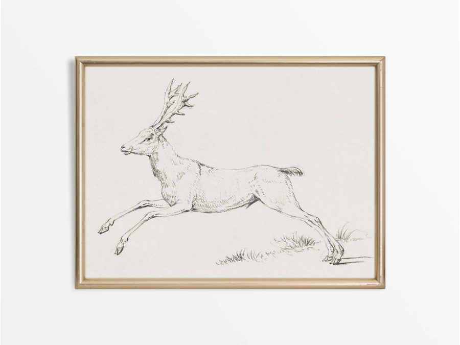 Deer Sketch Vintage Art Print