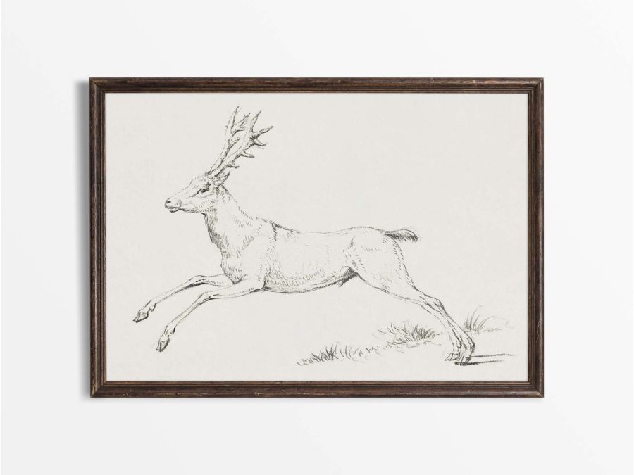Deer Sketch Vintage Art Print