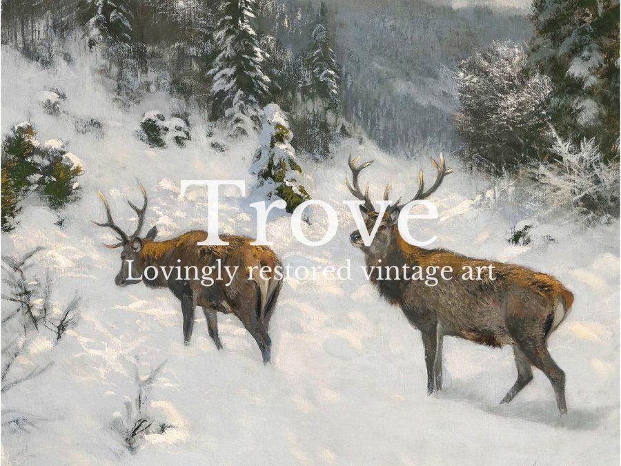 Deer in Winter IV Vintage Art Print