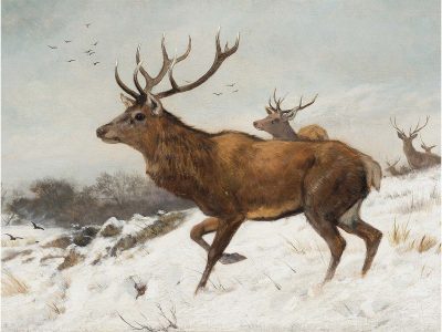 Deer in Winter V Vintage Art Print