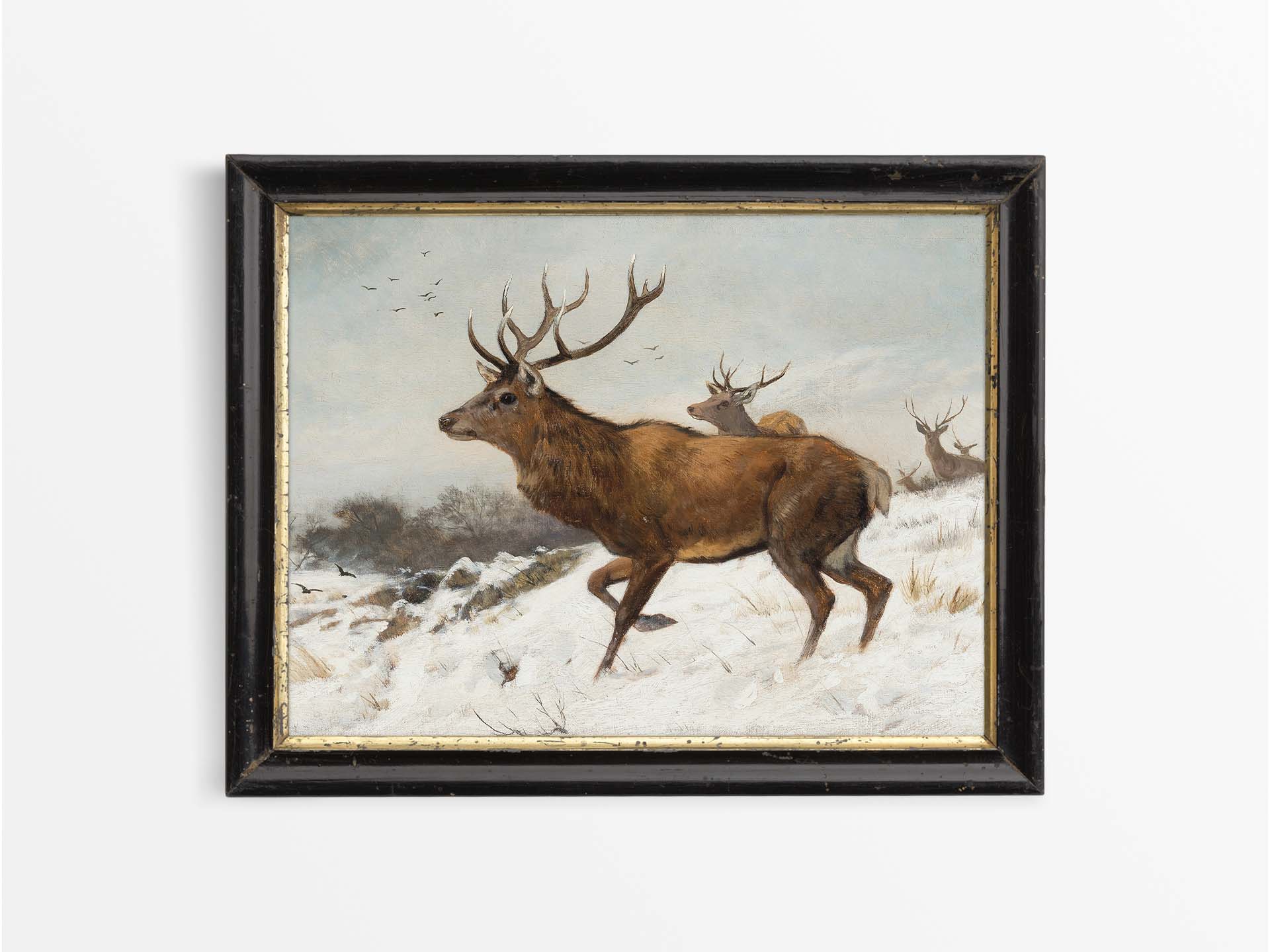 Deer in Winter V Vintage Art Print