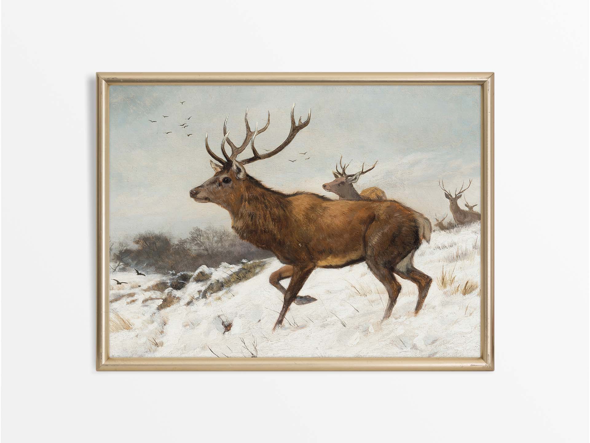 Deer in Winter V Vintage Art Print