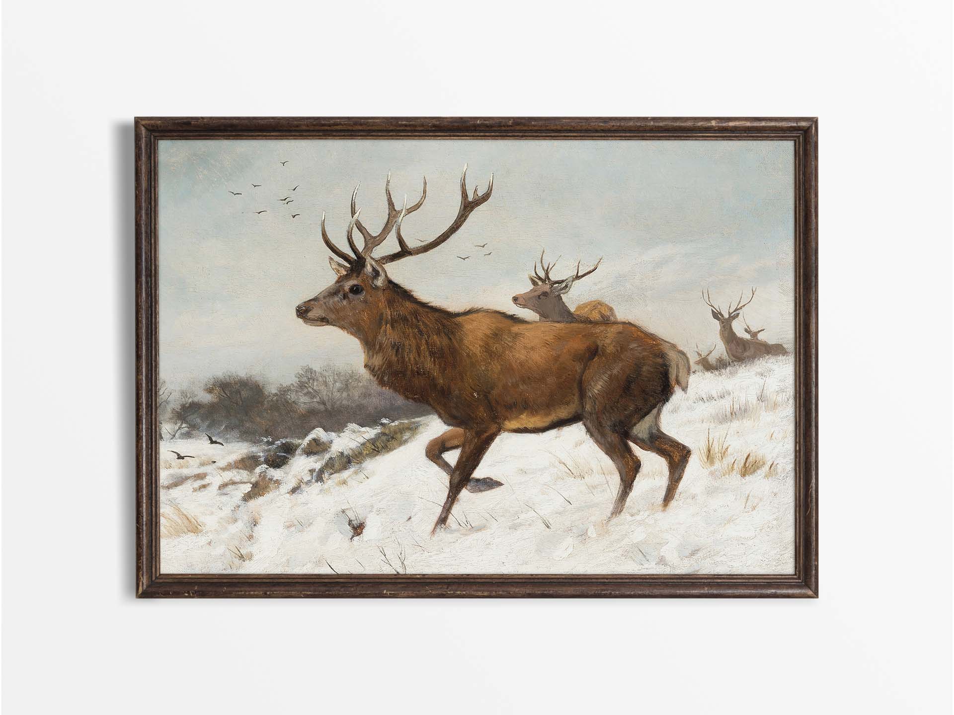 Deer in Winter V Vintage Art Print