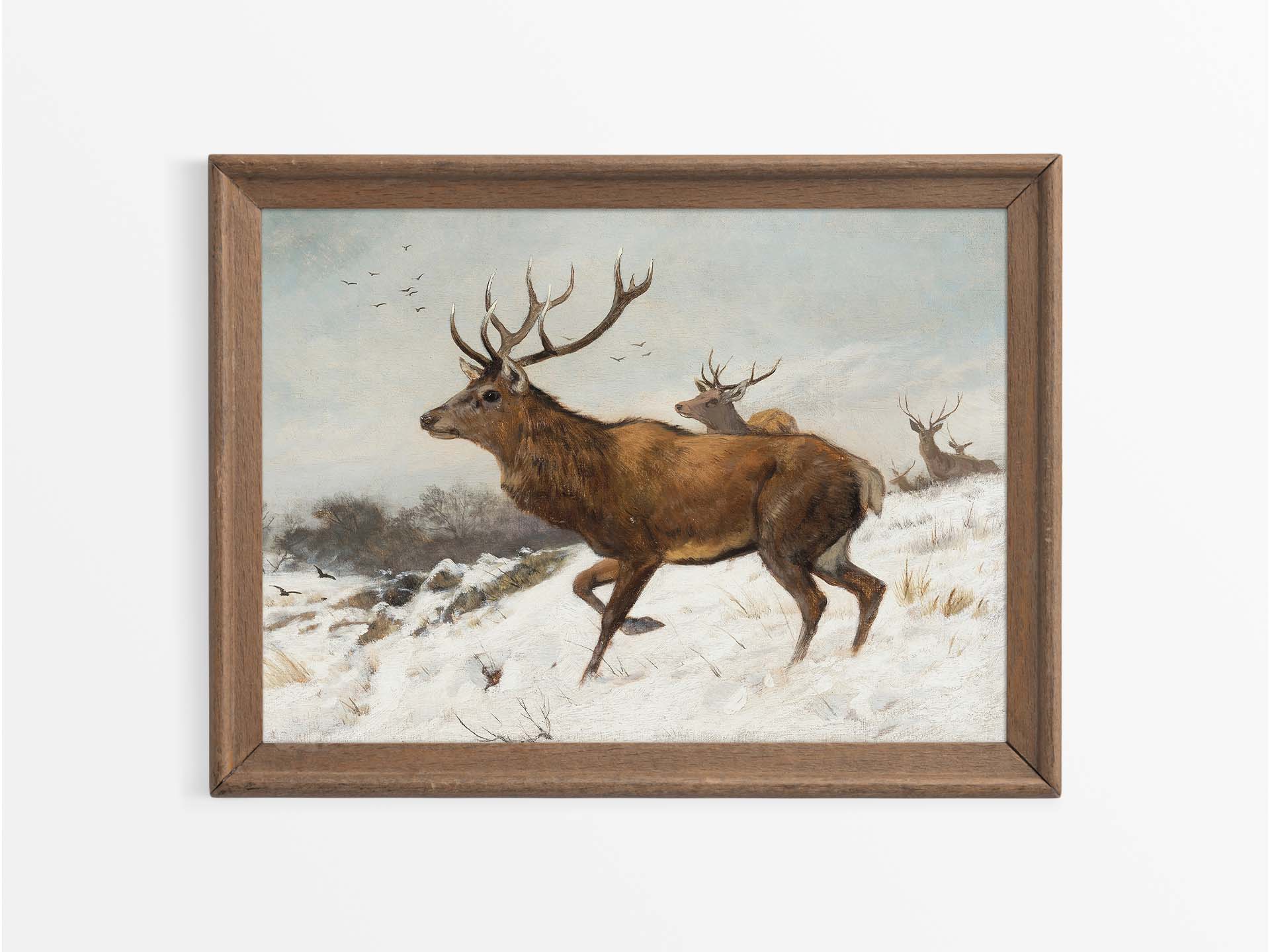 Deer in Winter V Vintage Art Print