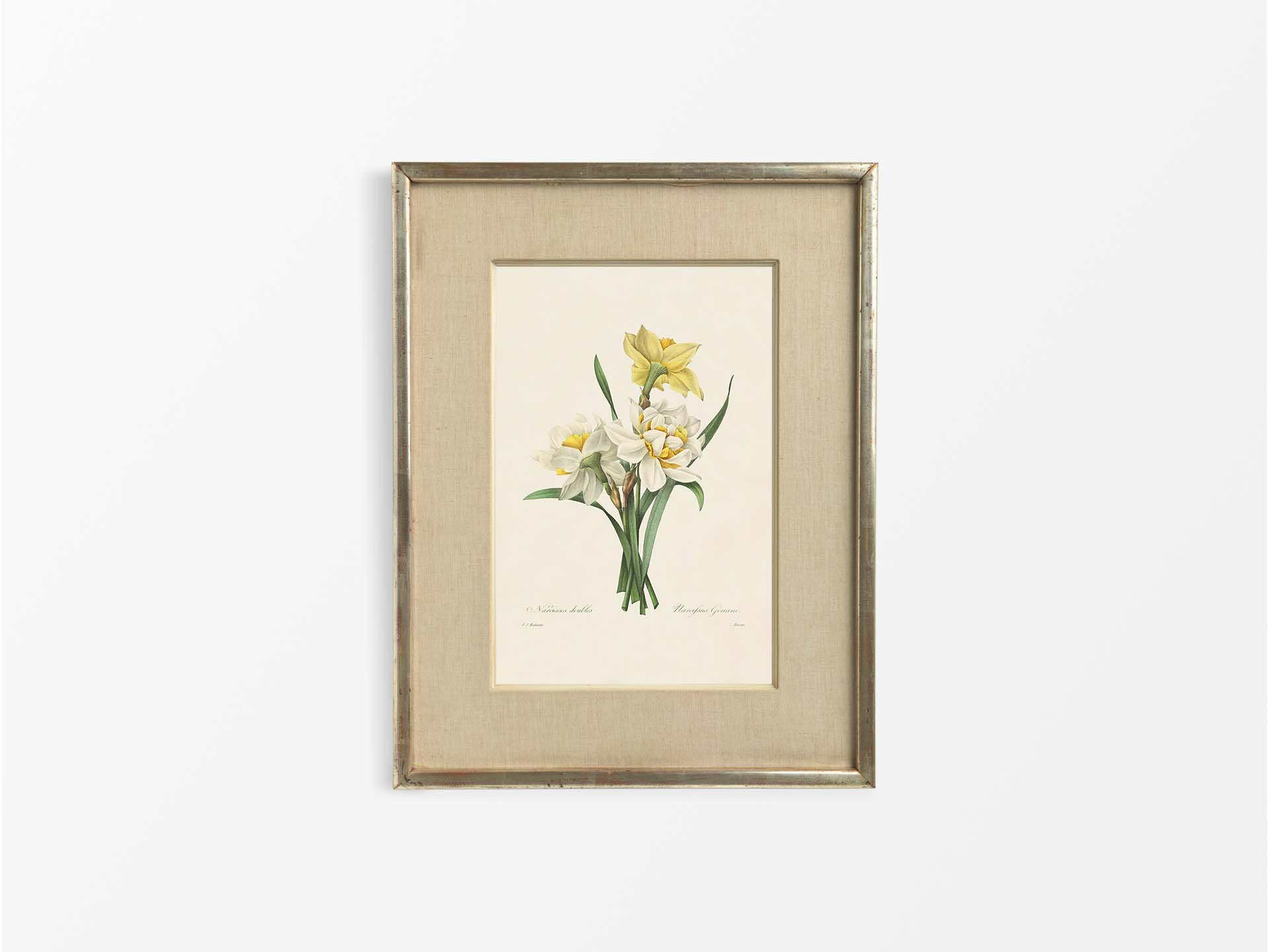 Double Daffodils Vintage Art Print
