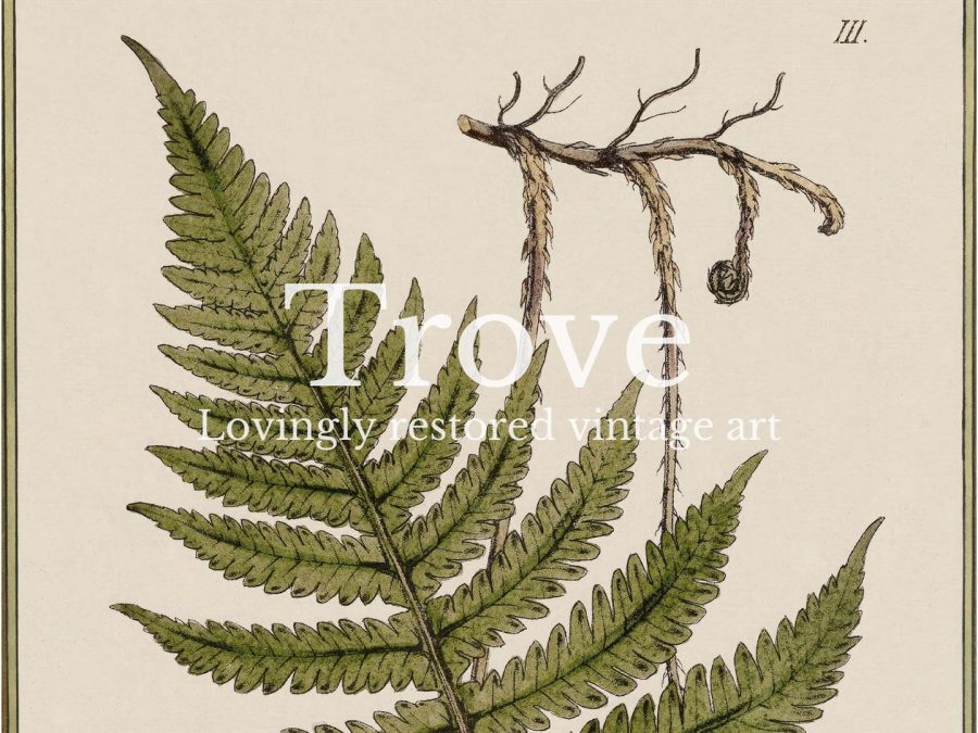 Fern IX Vintage Art Print
