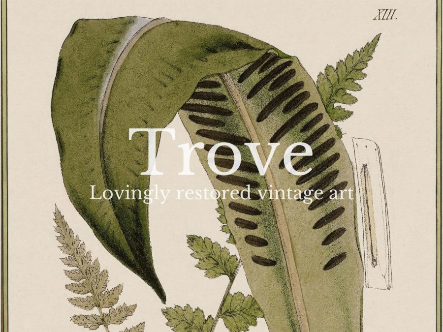 Fern XV Vintage Art Print