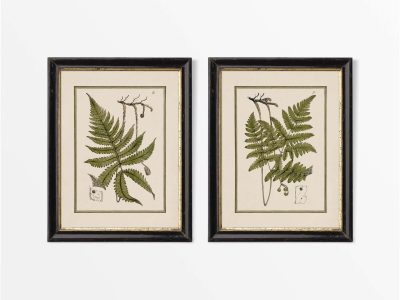 Ferns II (Set of Two) Vintage Art Prints