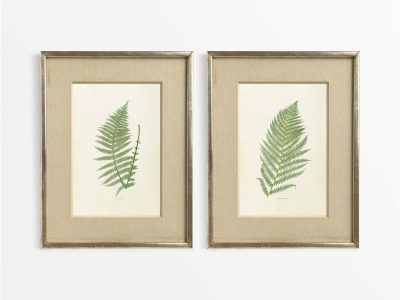 Ferns III (Set of Two) Vintage Art Prints