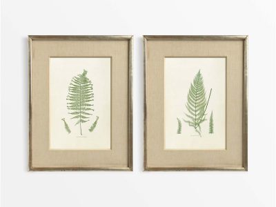 Ferns IV (Set of Two) Vintage Art Prints
