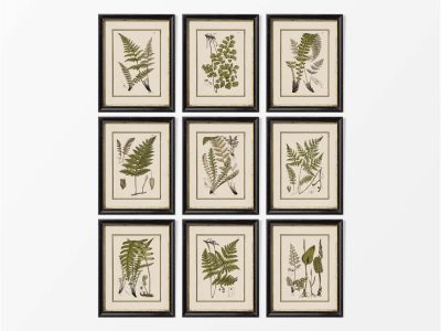 Ferns (Set of Nine) Vintage Art Prints