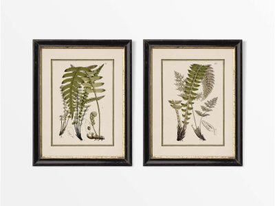 Ferns V (Set of Two) Vintage Art Prints