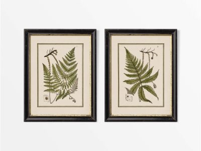 Ferns VI (Set of Two) Vintage Art Prints