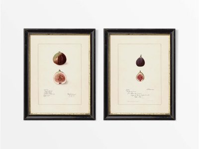 Figs (Set of Two) Vintage Art Prints