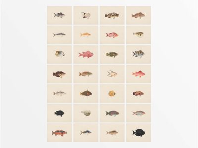 Fish (Set of Twenty-Eight) Vintage Art Prints