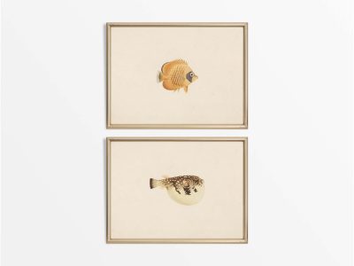 Fish (Set of Two) Vintage Art Prints