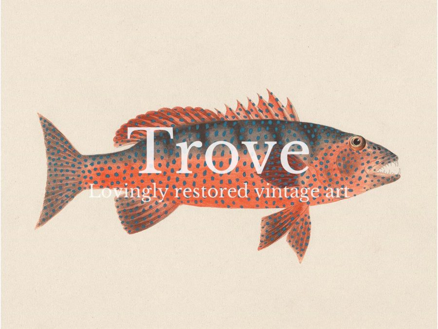 Fish X Vintage Art Print