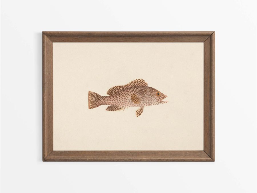 Fish XXI Vintage Art Print