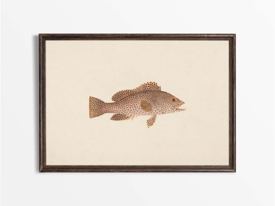 Fish XXI Vintage Art Print