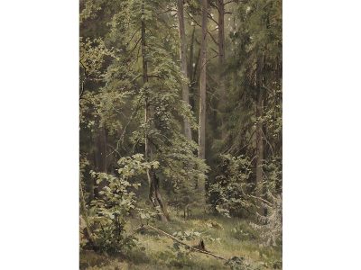 Forest Vintage Art Print