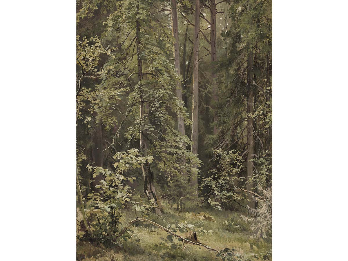 Forest - Trove Prints