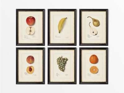 Fruit (Set of Six) Vintage Art Prints