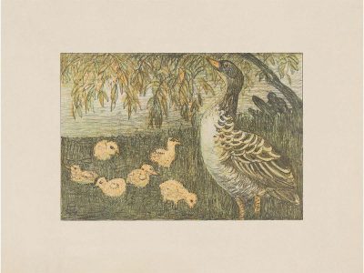 Goose & Goslings Vintage Art Print