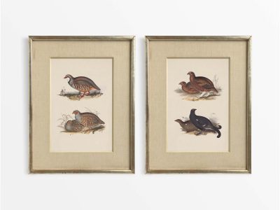 Grouse and Partridges (Set of Two) Vintage Art Prints