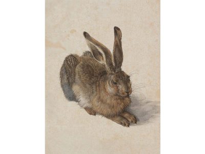 Hare Vintage Art Print
