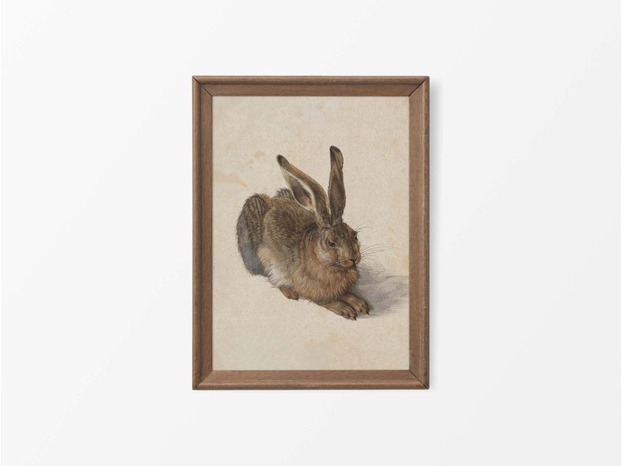 Hare Vintage Art Print