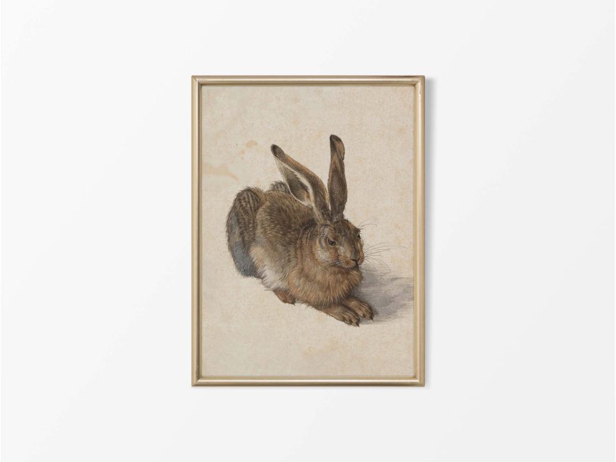 Hare Vintage Art Print