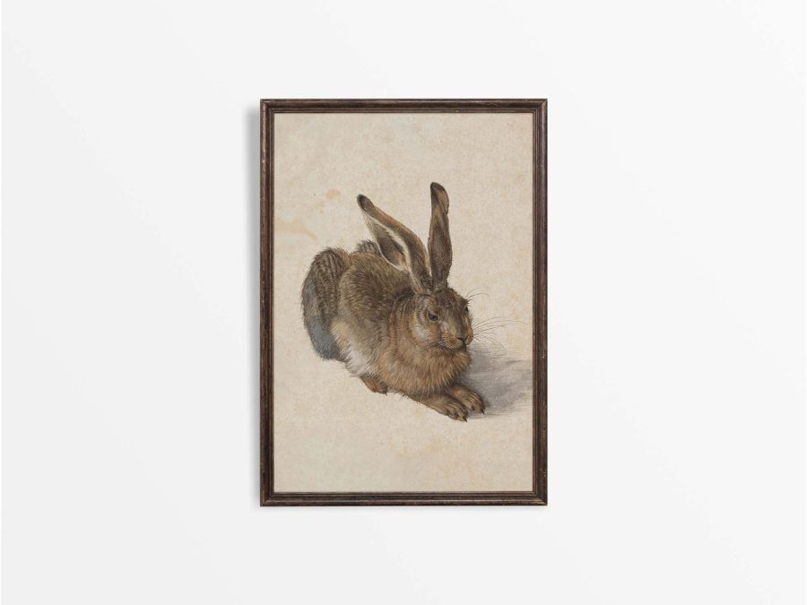 Hare Vintage Art Print
