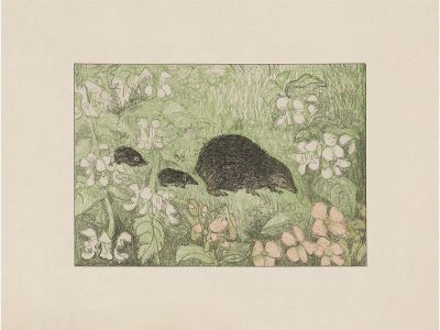 Hedgehogs Vintage Art Print