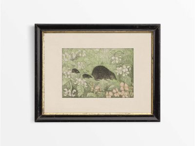 Hedgehogs Vintage Art Print