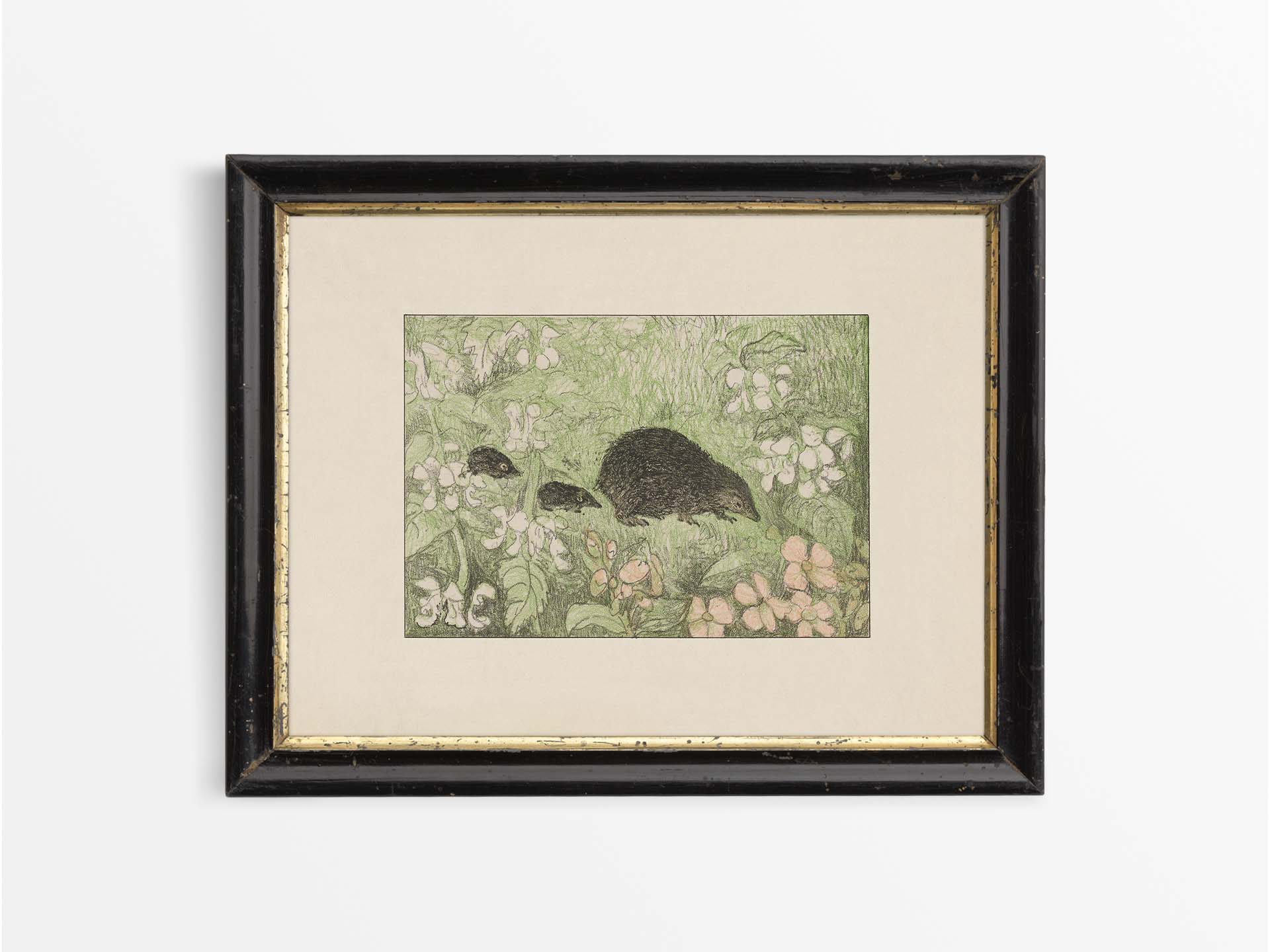 Hedgehogs Vintage Art Print