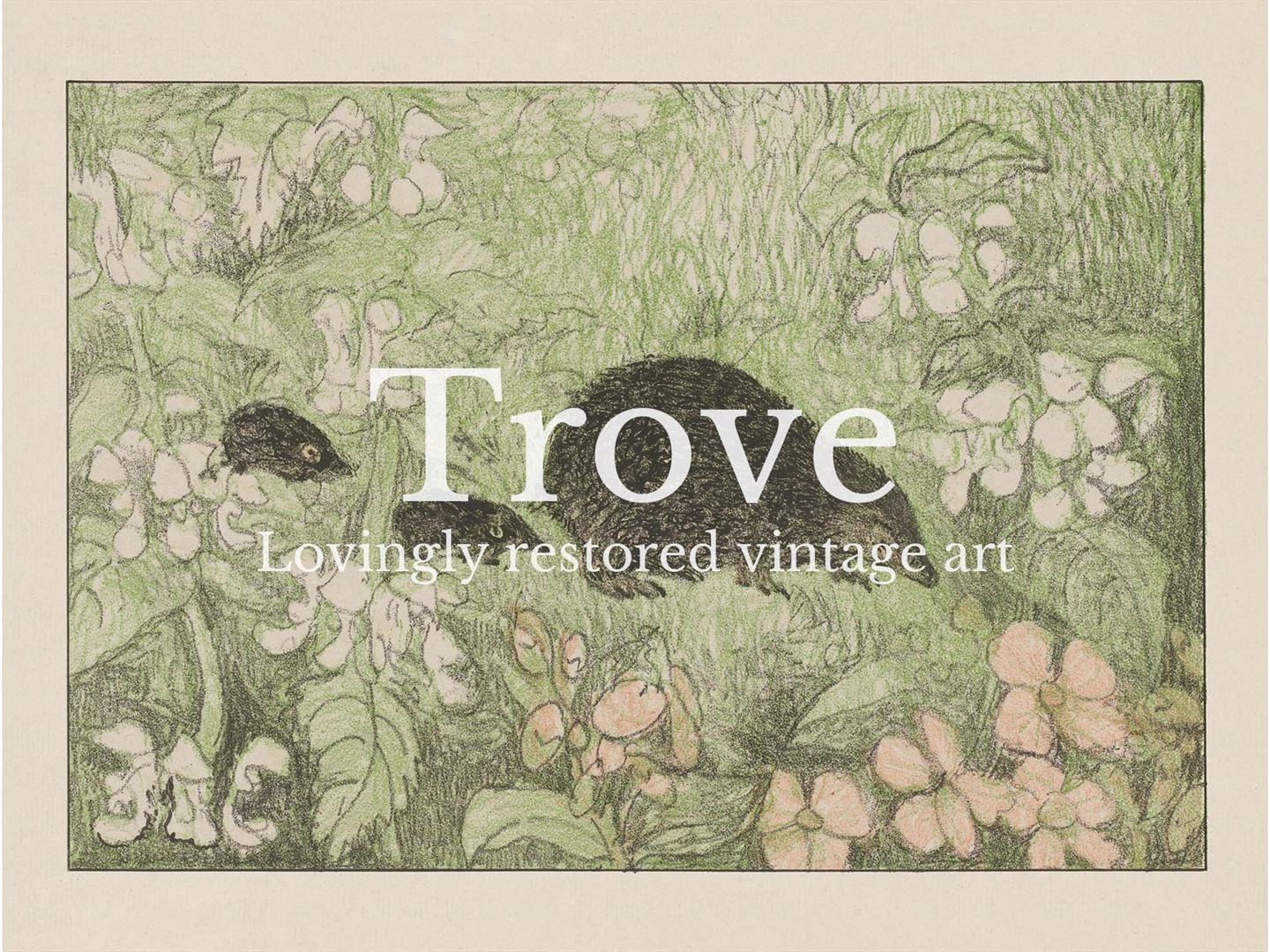 Hedgehogs Vintage Art Print