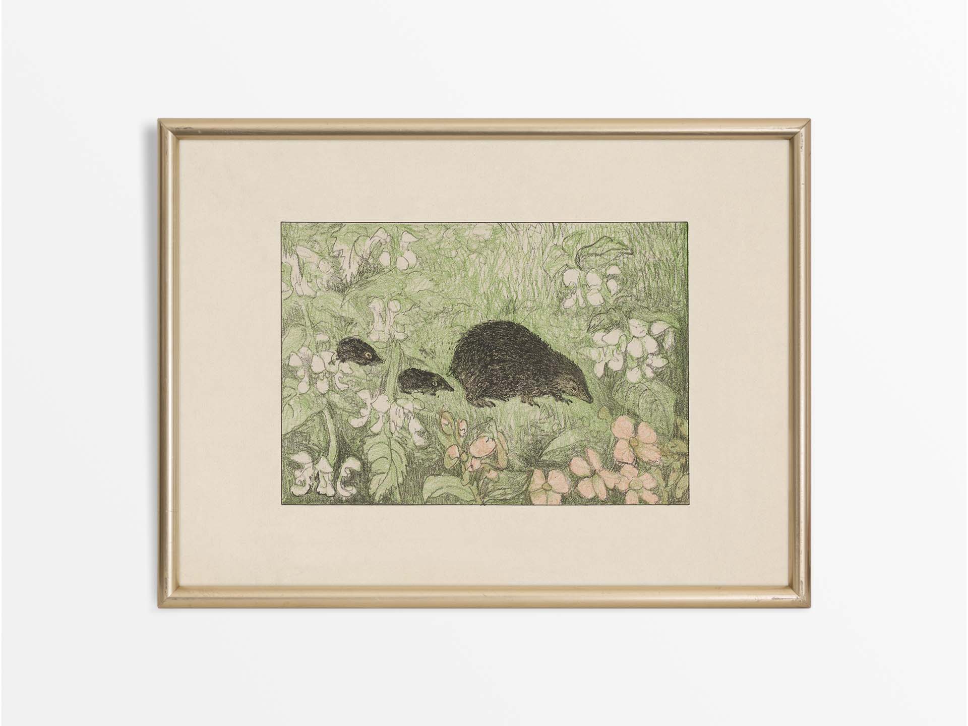 Hedgehogs Vintage Art Print