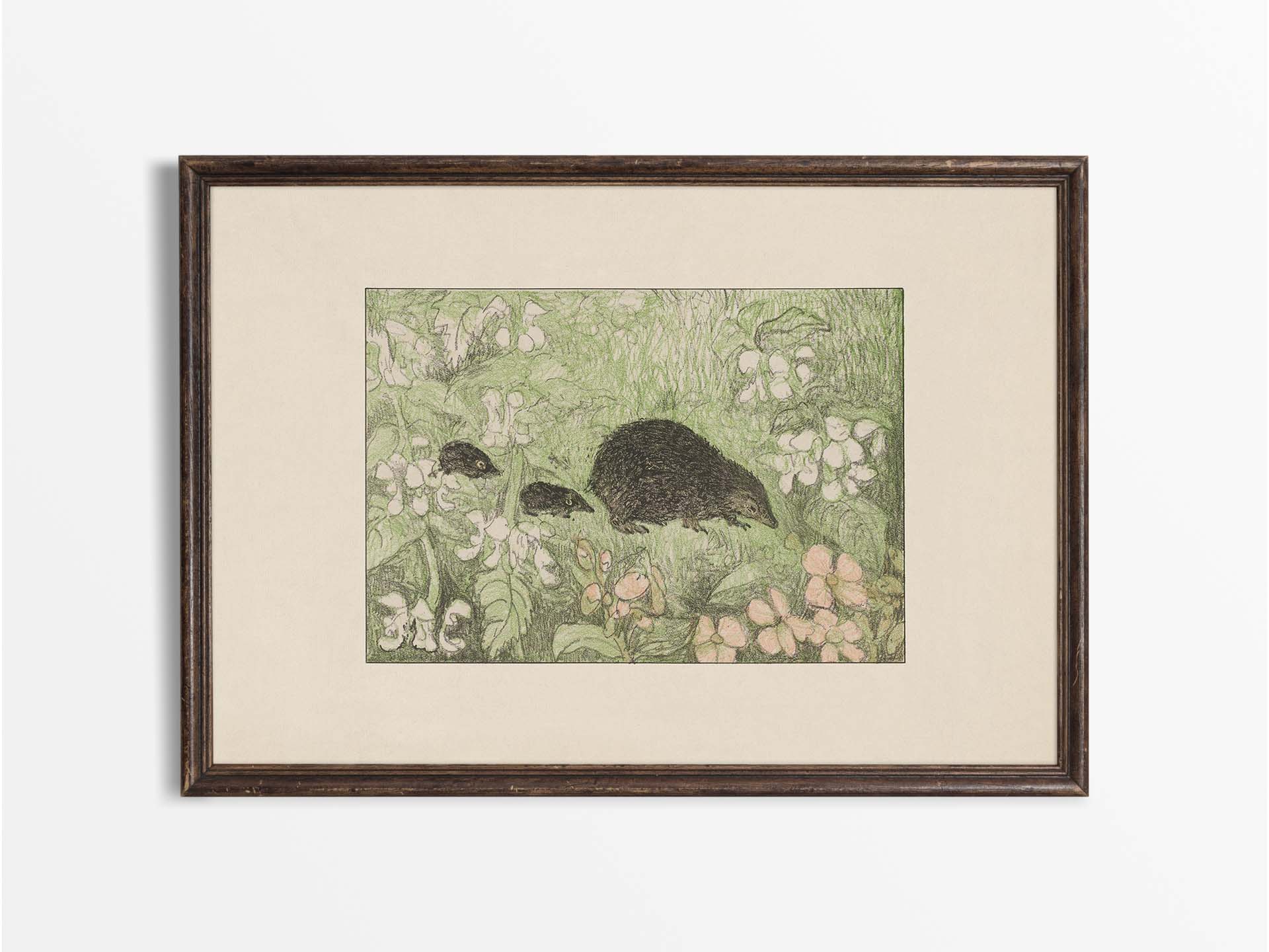 Hedgehogs Vintage Art Print
