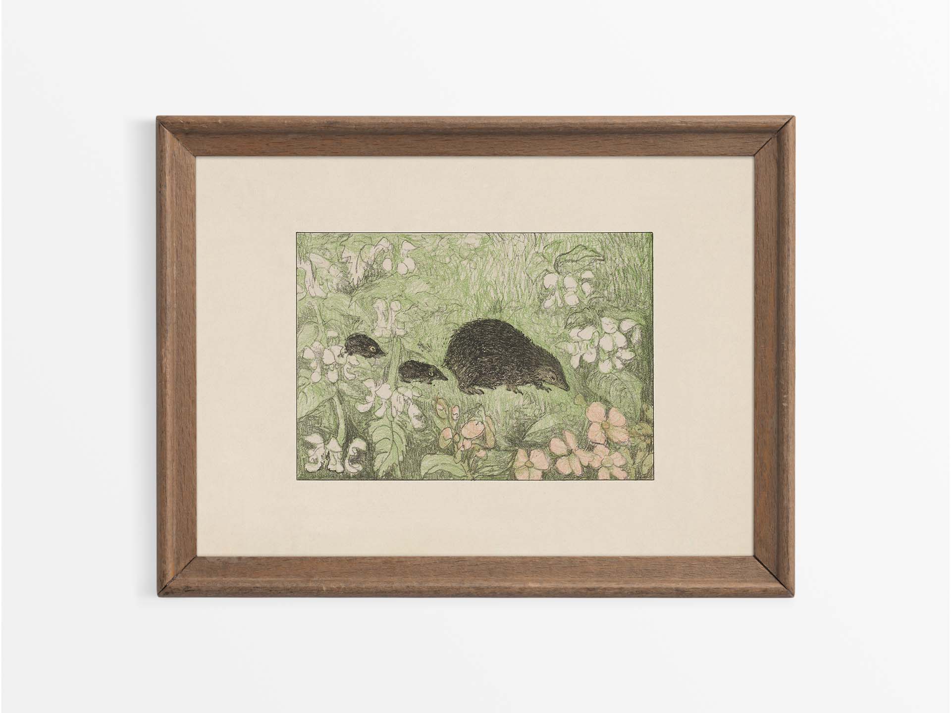 Hedgehogs Vintage Art Print