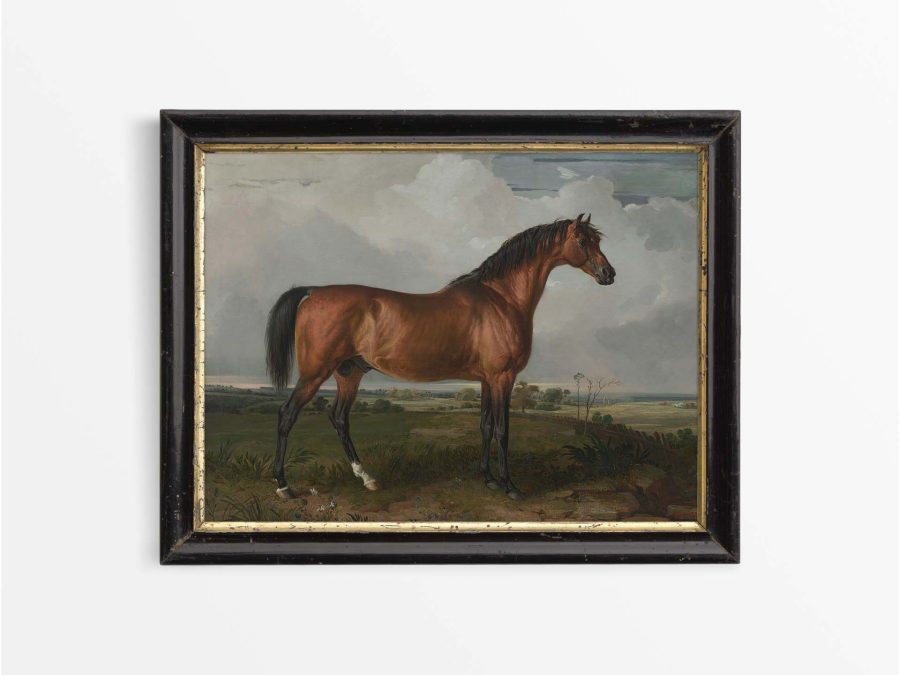 Horse III Vintage Art Print