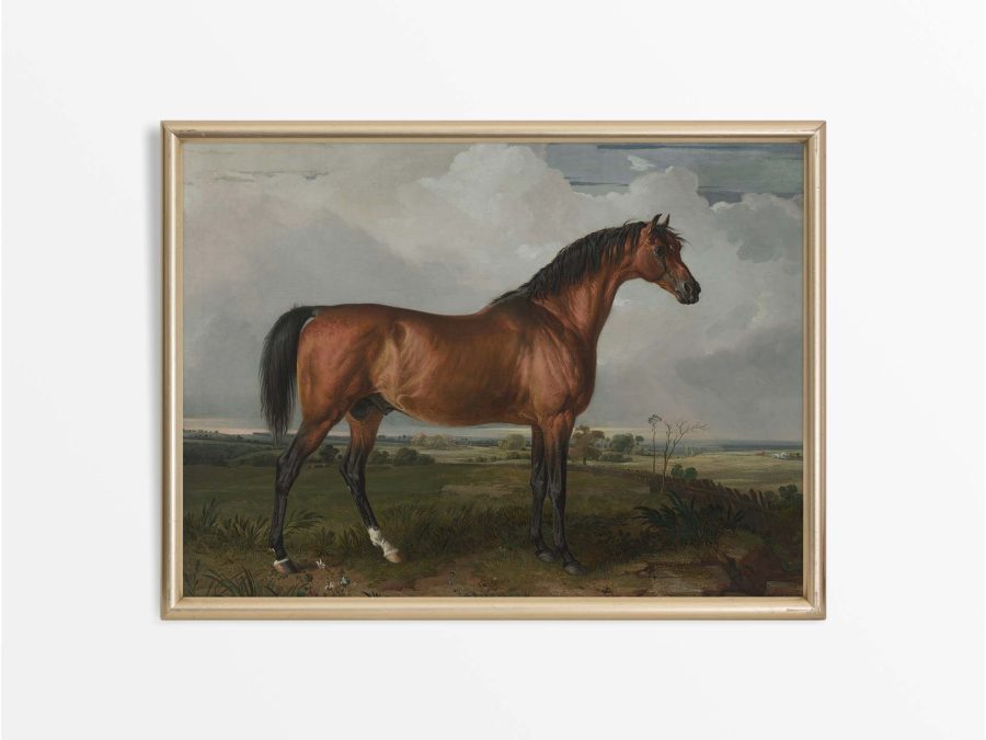 Horse III Vintage Art Print
