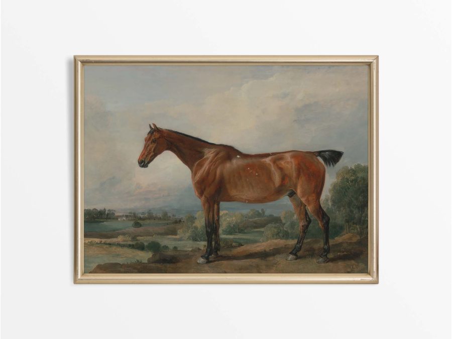 Horse IV Vintage Art Print